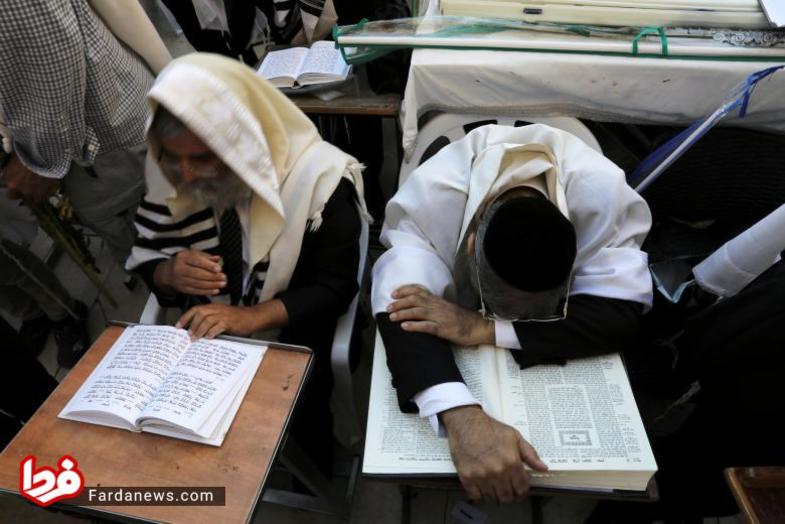 تصویری از عبادت کنندگان یهودی شرکت کننده در جشن که مشغول عبادت هستند.