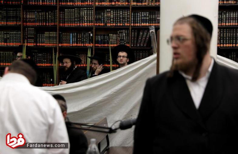 مرد جوان در انتظار عالم یهودی است تا شاخه درخت خرما و میوه هایشان را دعا کند.