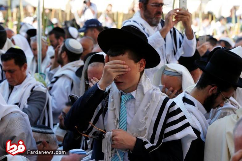 تصویر مرد جوان یهودی که مشغول عبادت است