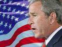 bush